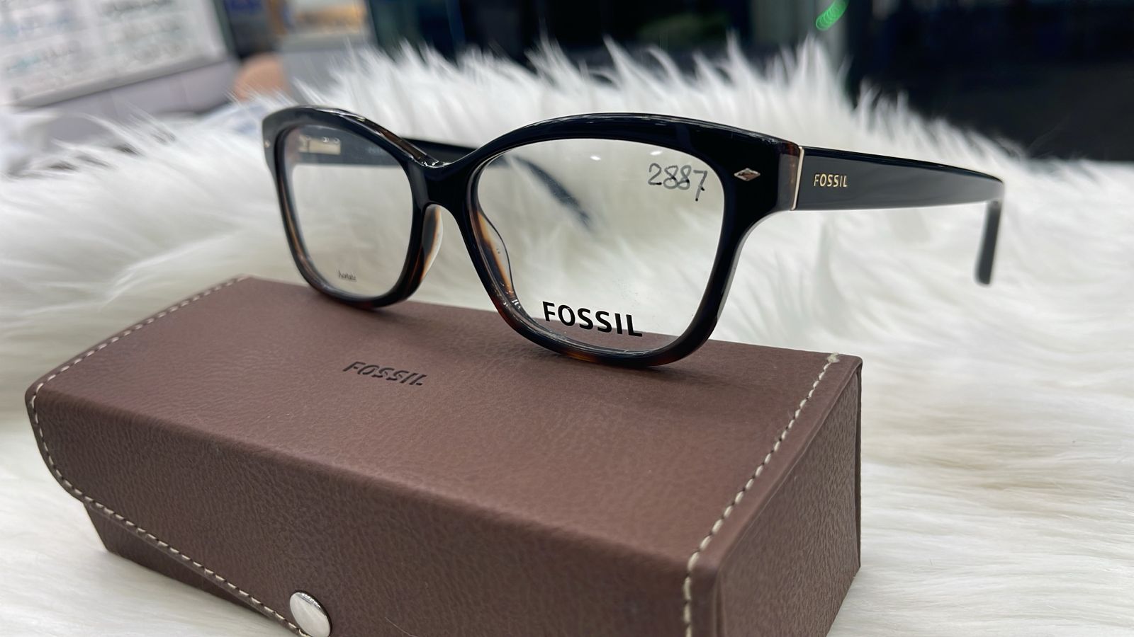 FOSSIL FOS-6067